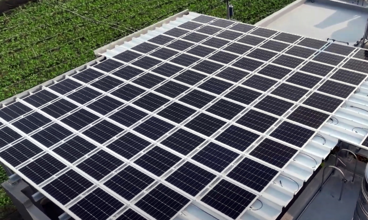 LEYU�پW(w��ng)SunSteel����˰������p���Y(ji��)��(g��u)���������Cеؓ(f��)�d���ȼ�����ͺ�ȣ��ɏV���\���ڶ�Ԫ����