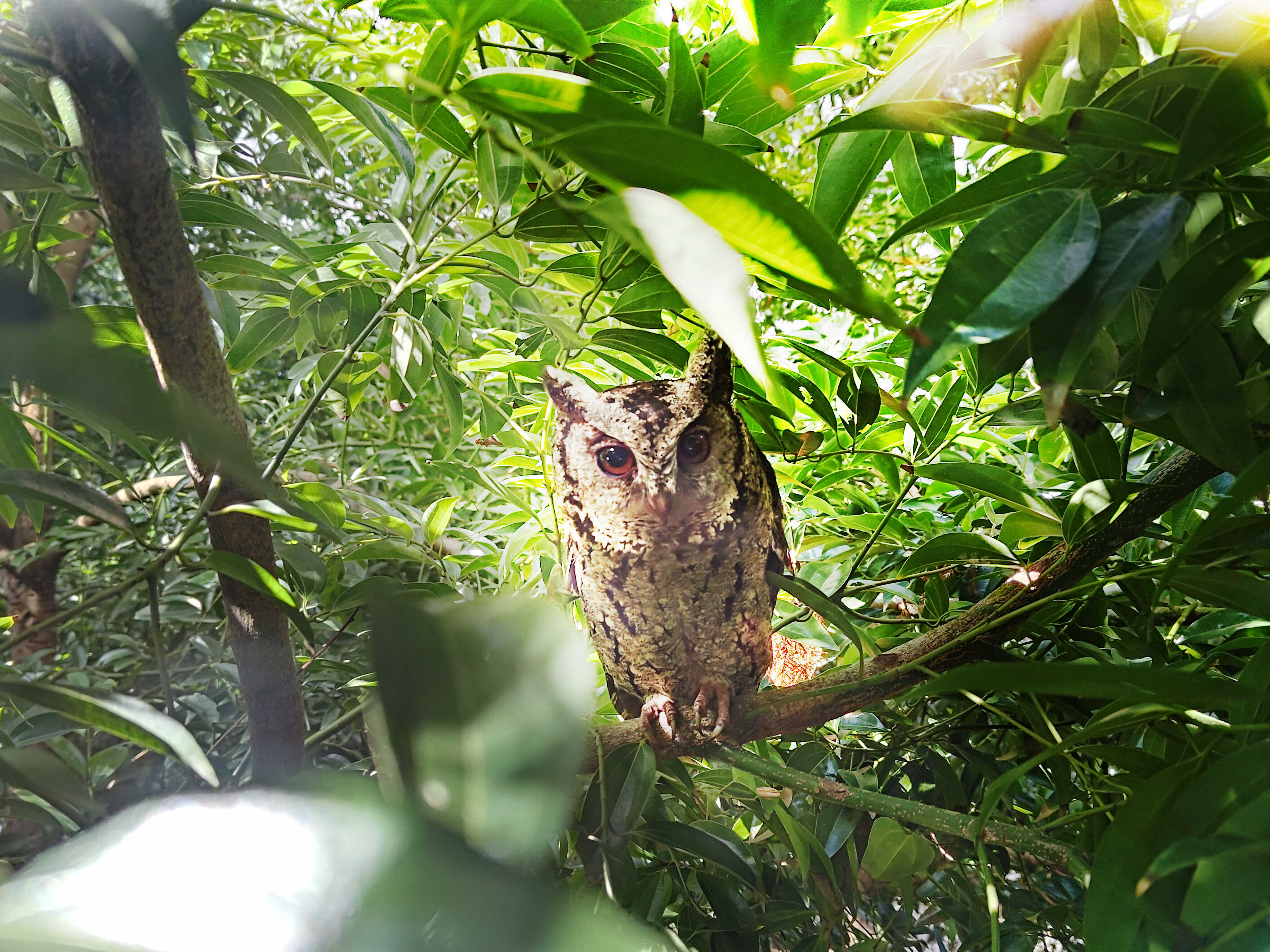 LEYU�پW�����ᳫ����G������16���ԁ���ȫ����S�^ֲ������f������͸��S�^��ľεȻ�������q��ɭ�ֹ��S���ɞ��S������ė�Ϣ��