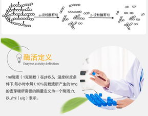 夏盛 β-淀粉酶液體70萬(wàn) 食品添加劑廠家直銷與互聯(lián)網(wǎng)銷售新機(jī)遇